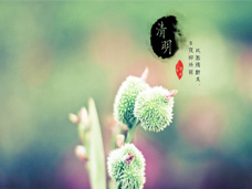 清明時節雨紛紛，路上行人欲斷魂