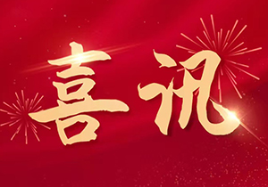 砥礪奮進,再譜新篇—熱烈祝賀施奈仕榮獲廣東省“專精特新”榮譽稱號