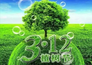 3月12日植樹節,讓我們一起為未來“充植”