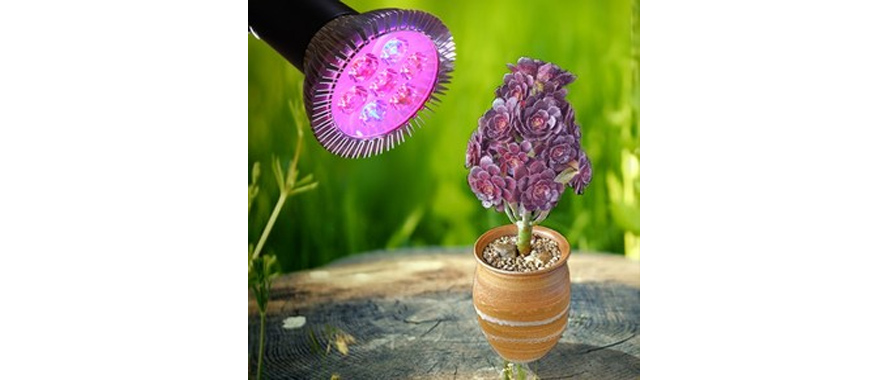 LED植物生長燈吸潮短路、起霉怎么辦？快用線路板電防膠.jpg