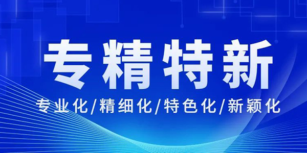 榮譽稱號,專精特新企業,企業榮譽