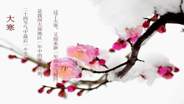 大寒：冬季的終點，春天的起點.jpg