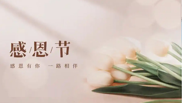 感恩同行，溫暖相伴：施奈仕人的感恩節記憶.jpg