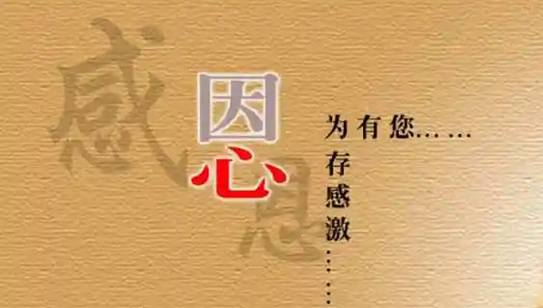 感恩的力量：施奈仕人的感恩節，銘記每一份支持與陪伴