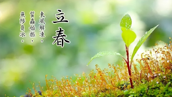 立春：春已至，萬物始，施奈仕奔赴新征程