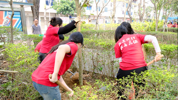 植樹節：“植”此青綠，共赴春光